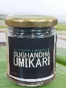 Umikkari Image1.webp