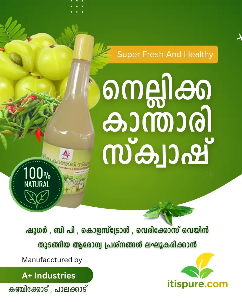 നെല്ലിക്ക കാന്താരി സ്‌ക്വാഷ് (Gooseberry BirdsEye Chilli Syrup) 1 L