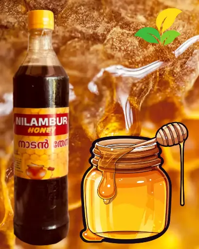 Nilambur Honey 1 Kg (നാടൻ തേൻ )