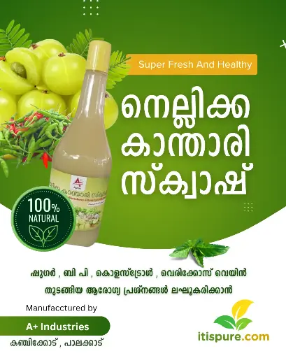 നെല്ലിക്ക കാന്താരി സ്‌ക്വാഷ് (Gooseberry BirdsEye Chilli Syrup) 1 L