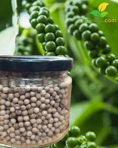 White Pepper 250 gm